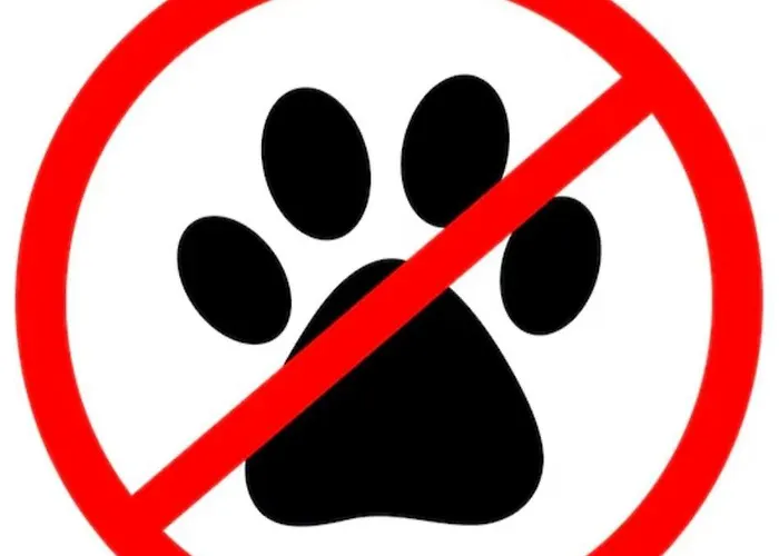 Zum Amboss 게스트하우스 Lützen